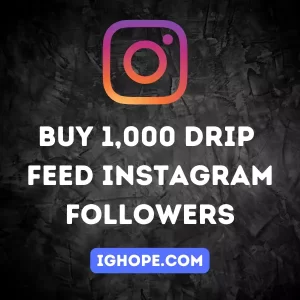 Buy 1,000 Drip Feed Instagram Followers